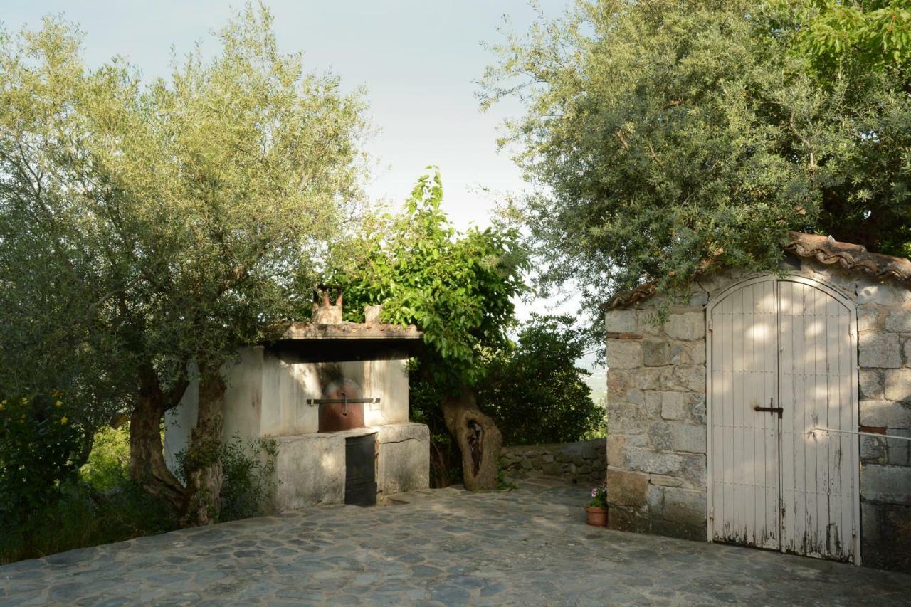Mistra Estates Villa The Vine Pikoulianika Екстер'єр фото