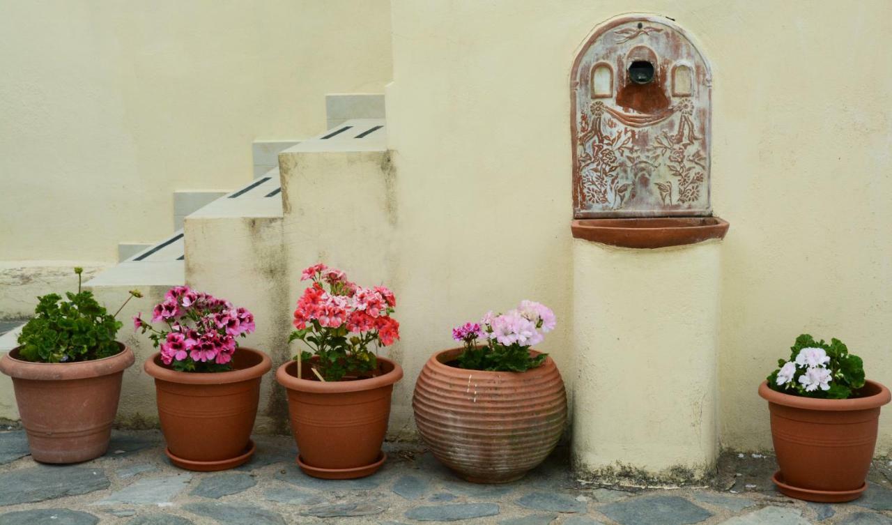 Mistra Estates Villa The Vine Pikoulianika Екстер'єр фото